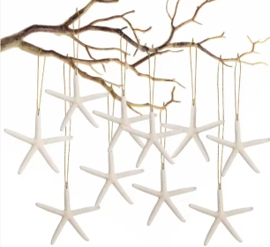 20 PCS Christmas Starfish Hanging Ornaments 3-4'' Natural Starfish With Rope (Color: White)
